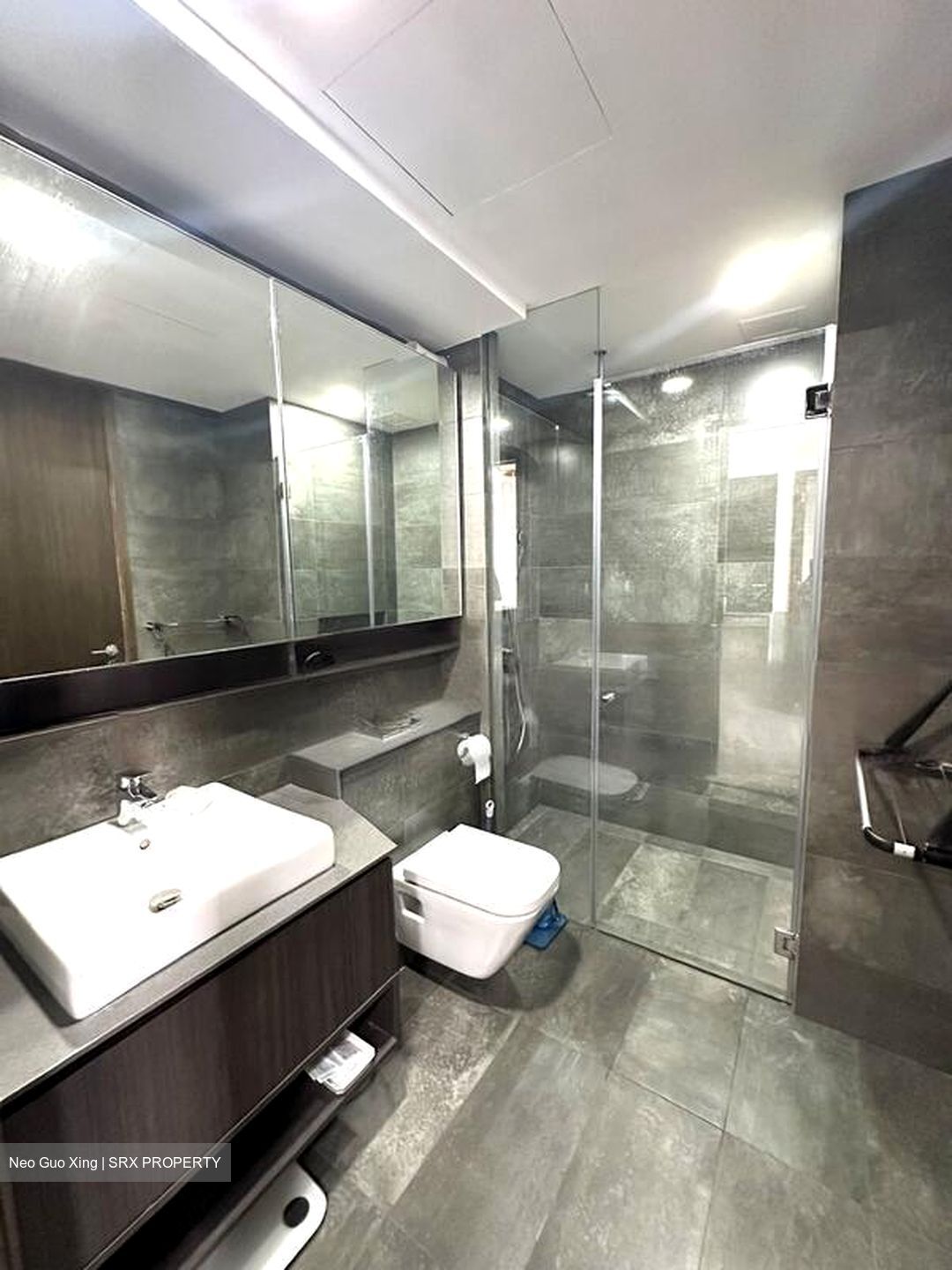 Grandeur Park Residences (D16), Condominium #452173911